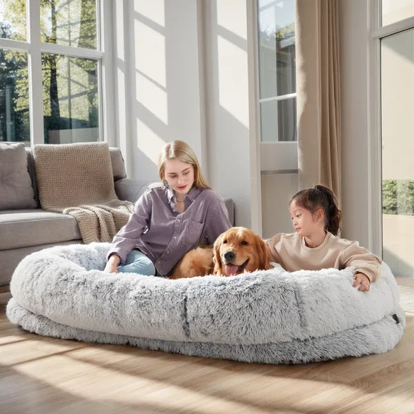 Family with golden retriever in the light gray CalmCurl human dog bed