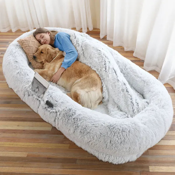 Light gray CalmCurl human dog bed with person and golden retriever asleep
