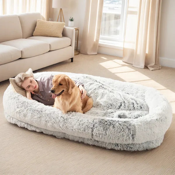 Person resting with golden retriever in the light gray CalmCurl human dog bed