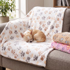 Chihuahua asleep on the white paw print fleece blanket protecting a couch cushion