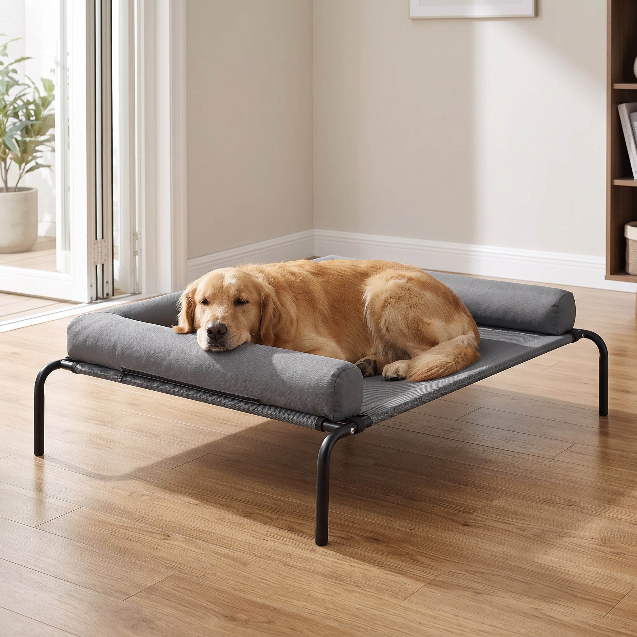 Golden retriever resting on a grey elevated dog cot with a bolster rim wrapping three sides