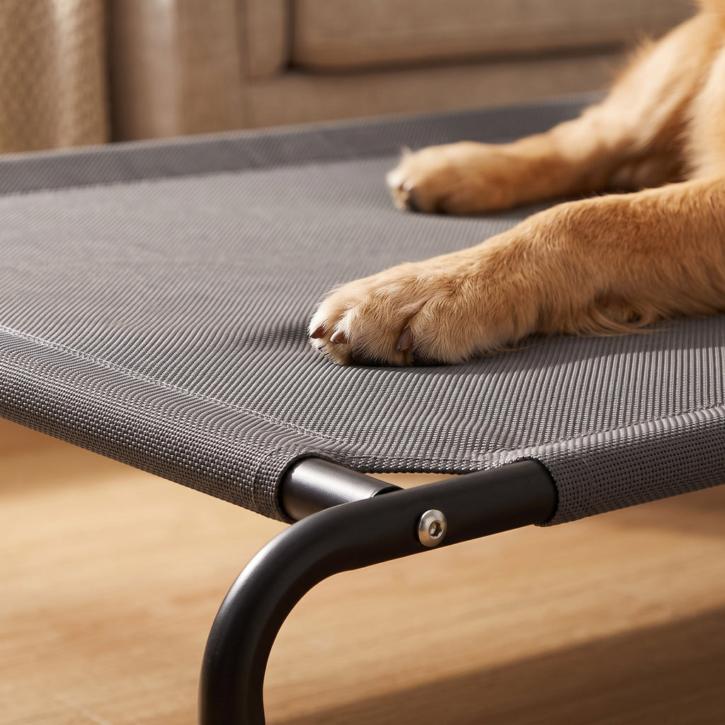 Close view of a golden retriever paw on the grey mesh deck of an elevated dog cot