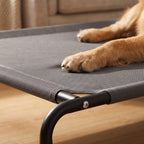 Close view of a golden retriever paw on the grey mesh deck of an elevated dog cot