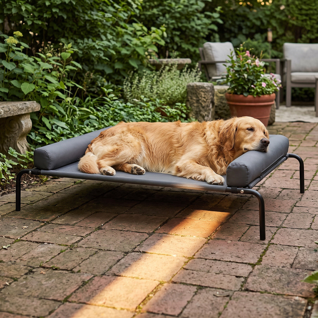 Golden retriever stretched out on a grey elevated dog cot on a shaded patio