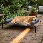 Golden retriever stretched out on a grey elevated dog cot on a shaded patio
