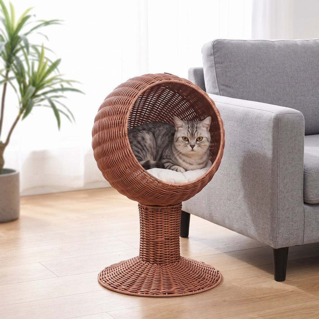 Grey tabby resting inside the wicker egg chair cat bed beside a grey sofa