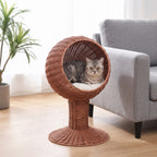 Grey tabby resting inside the wicker egg chair cat bed beside a grey sofa