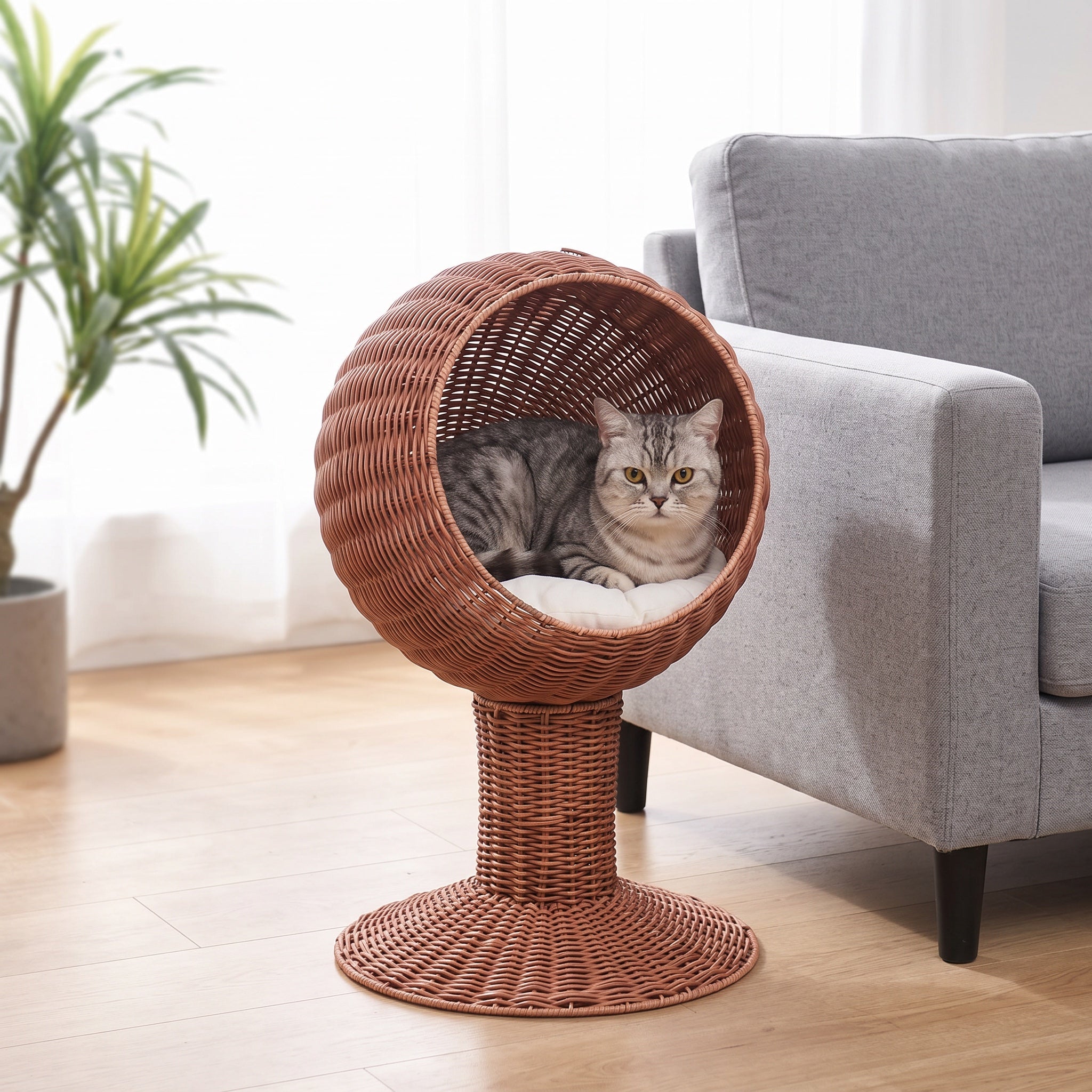 Grey tabby resting inside the wicker egg chair cat bed beside a grey sofa