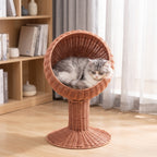 Fluffy cat curled in the wicker egg chair cat bed with the opening rotated upward