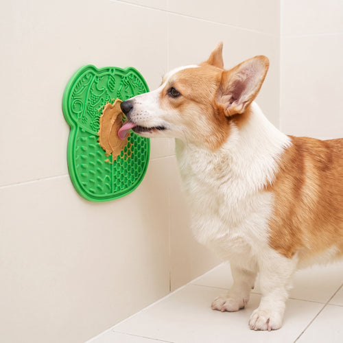 Corgi licking peanut butter from a green lick mat suctioned to a tile wall