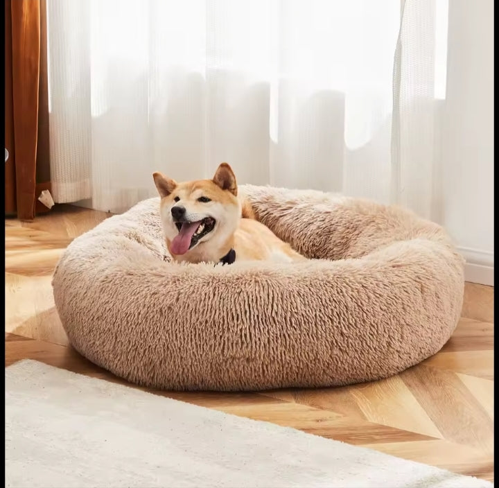 Shiba Inu relaxing in the tan CalmCurl calming donut bed